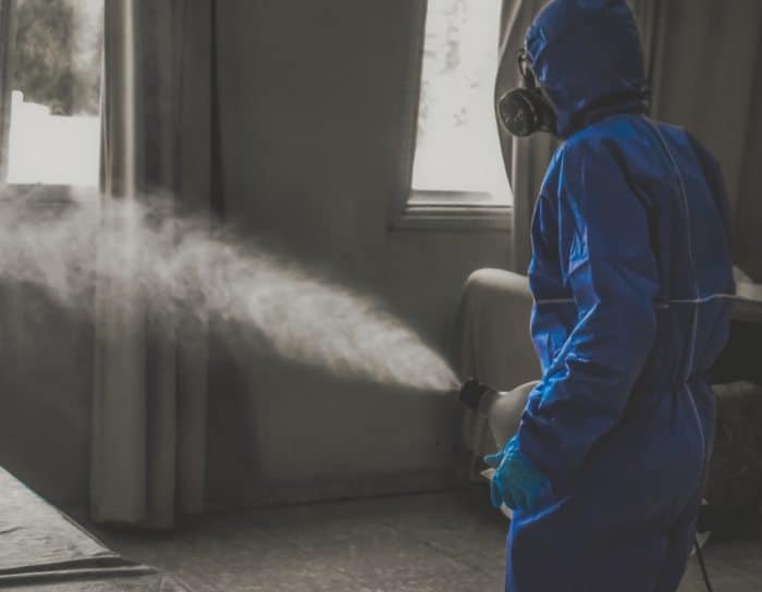 Fumigation service - pest control