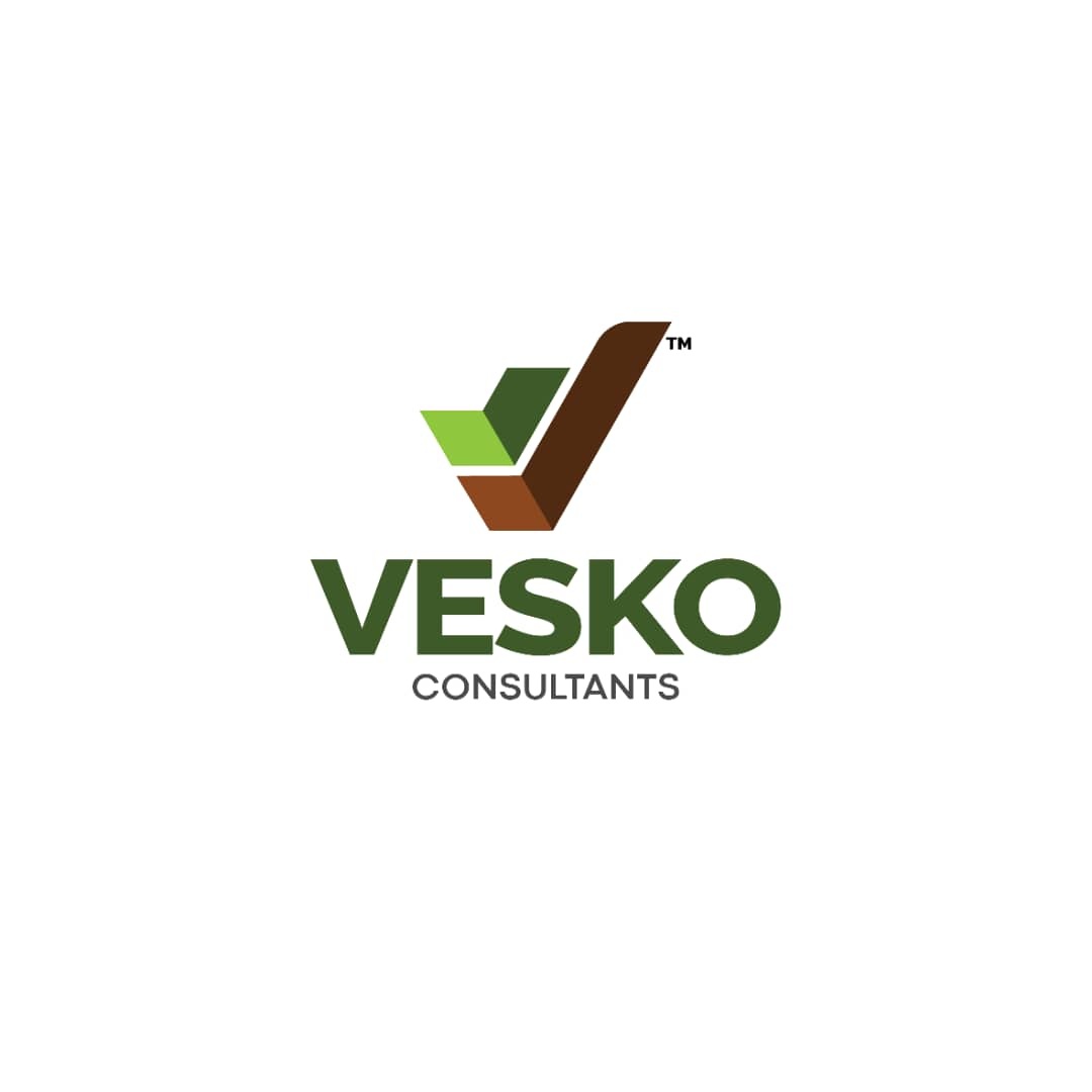Vesko team at work